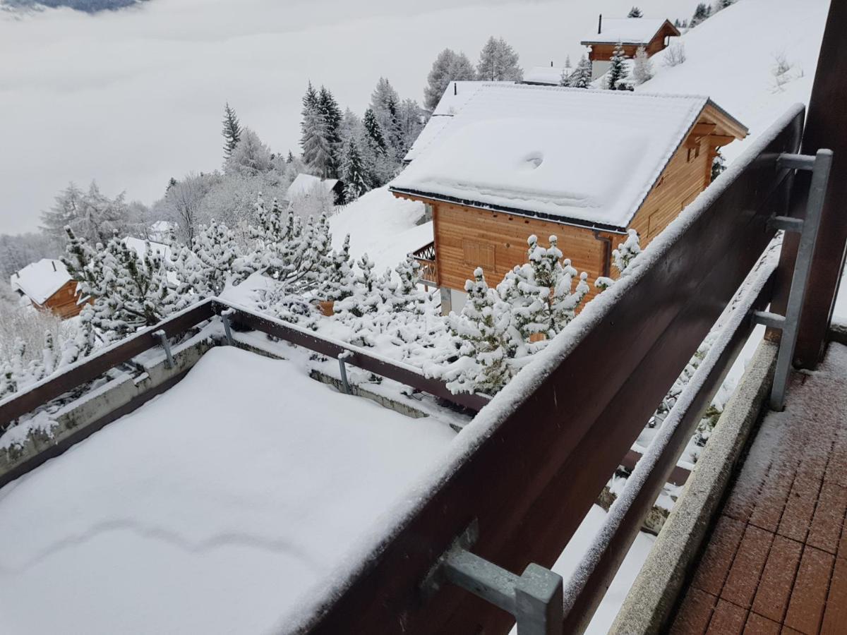 Les Collons1800- Bel Appart 2Pieces-4 Pers-Piscine-Sauna-Parking Int-Wifi Gratuit Vex Kültér fotó